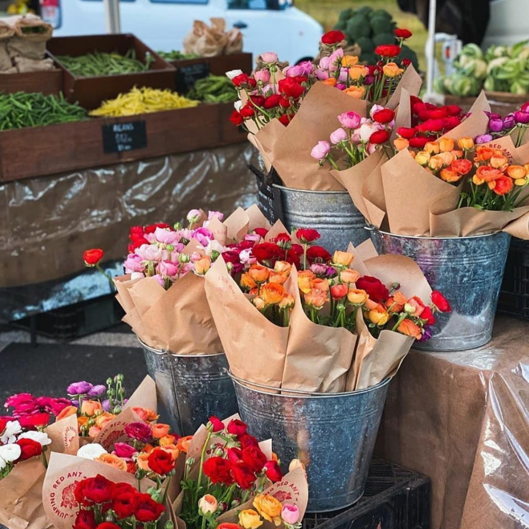 Bangalow Markets