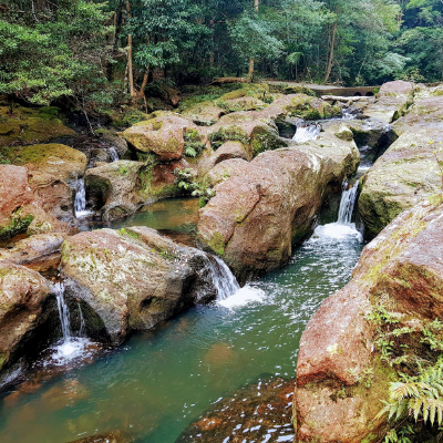 WhianWhian State Conservation Area